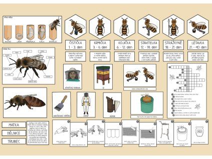 den vcel aktivity pro deti