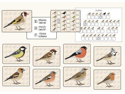 ptaci na krmitku poznavacka pro deti