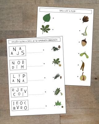 Jak udělat z Dne stromů zábavné učení? Tady je tip! 🌳 📅 20. října slavíme Den stromů! 🎉 Skvělá příležitost připomenout...